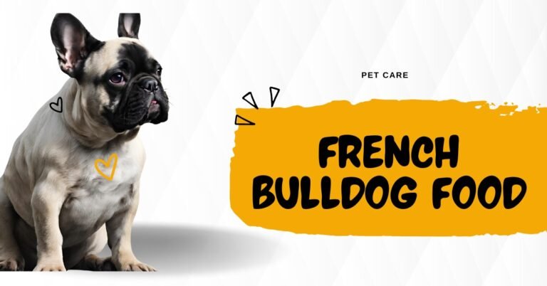 French bulldog food