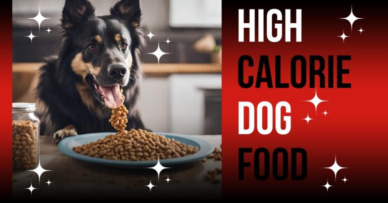 High calorie dog food